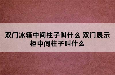 双门冰箱中间柱子叫什么 双门展示柜中间柱子叫什么